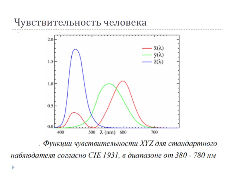 Чувствительность человека